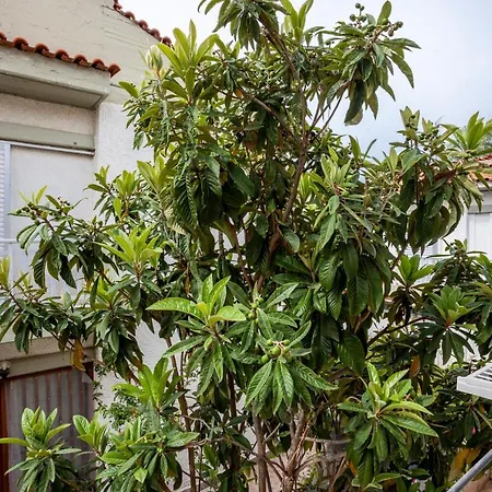 Sea Side Valentina *